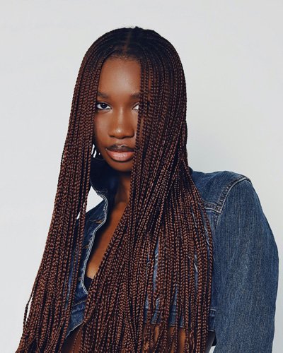 braids 1